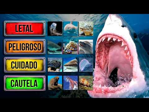 Ocean Predators That Will Tear You Apart (Deadly Ranking)