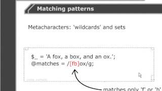 VTC Player   Perl Fundamentals, Character sets 1