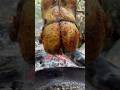 Doada kzarm btn tavuk   roasted chicken in nature