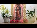 🌹 Rosas para la Virgen de Guadalupe