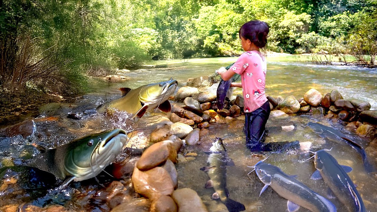 Little Girl’s Fishing Skills | How to Make a Stone Fish Trap on a Stream to Catch Big Catfish