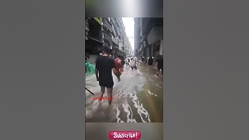 HÀNG TRĂM NGƯỜI ĐỖ XÔ RA ĐƯỜNG BẮT CÁ SAU LŨ_CẢNH TƯỢNG HỖN LOẠN NHƯ PHIM HÀNH ĐỘNG.