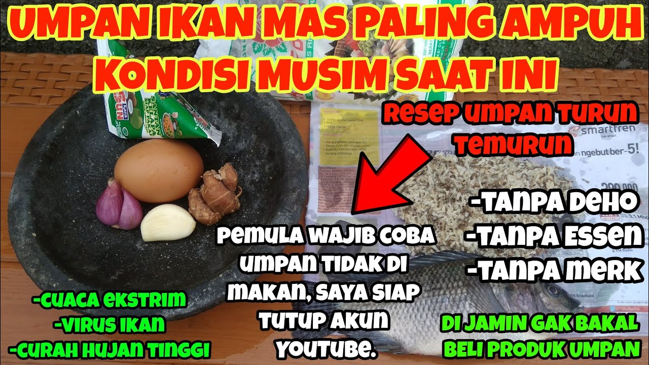 Viral Sudah Terbukti | RESEP UMPAN IKAN MAS SEPANJANG MASA | Umpan