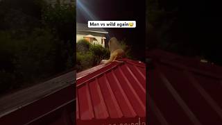 Man Vs Wild again❌😅|| wait for end @YouTube #shorts #travel #comedy #viral #memes #funny #new