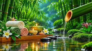 Healing Music for the Nervous System | Bamboo Water Sounds & Soothing Piano, Meditation Music