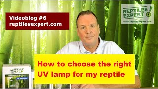 How to choose the right UVB lamp for my reptile