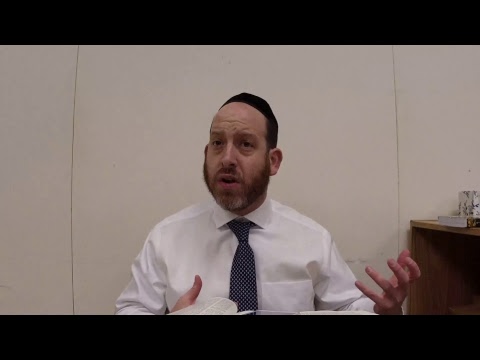 Avodah Zara 11
