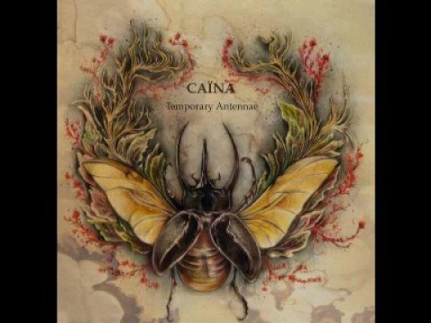 Caïna — Temporary Antennae