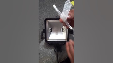 PBL MX Twin and Single Halogen Light Bulb Replacement