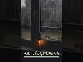 عمرو حسن بعد السكران ما يفوق حالات واتس 