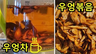 (eng/kor sub) Korean Burdock Tea | burdock boiled in soy sauce | 우엉차 만들기 | 초간단 우엉볶음