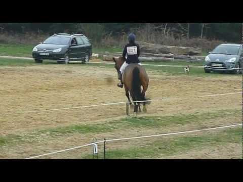 Dressage de CCE