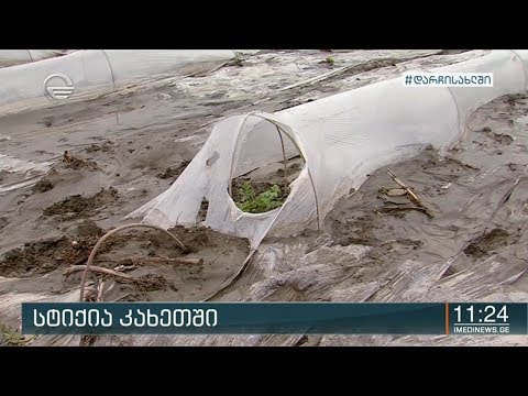 ქრონიკა 11:00 საათზე - 12 მაისი, 2020 წელი