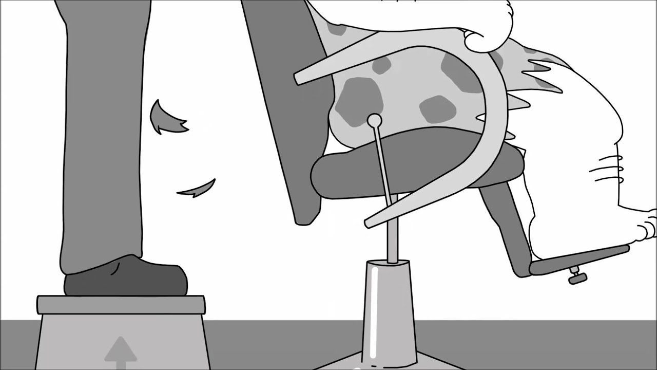 Animatic - YouTube