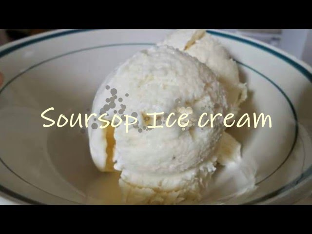 Homemade Ice Cream - Korosol/Soursop — Sabine's