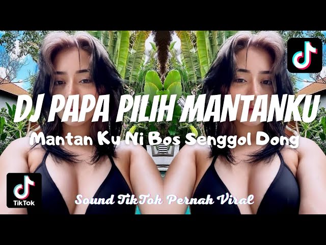 DJ PAPA PILIH MANTANKU SOUND YANG VIRAL DI TIKTOK GAN class=