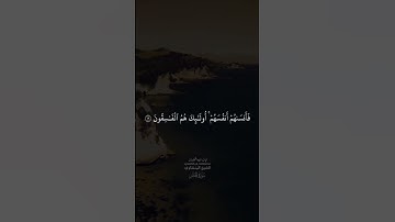 الشيخ المنشاوي سورة الحشر تلاوة مؤثرة