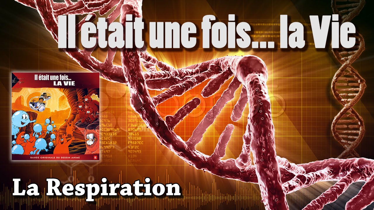 La Respiration - Il était une fois... La Vie (HQ) - YouTube