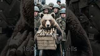 The Polish Army’s Secret Weapon was a BEAR?! 😱