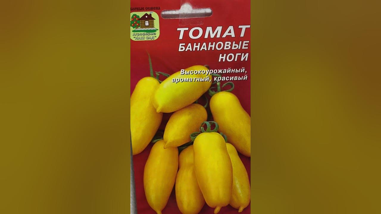 Томат Банановые Ноги. Купить Семена Рассаду с Доставкой.