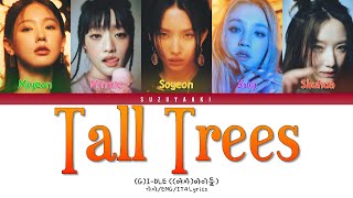 (G)I-DLE ((여자)아이들) – “Tall Trees” [Color Coded Lyrics Eng_Sub Ita_가사]