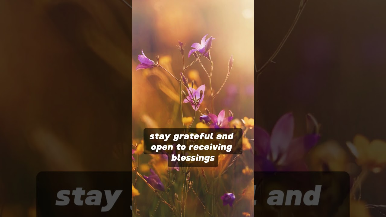 ANGEL NUMBER 888 MESSAGE ON ABUNDANCE AND GRATITUDE