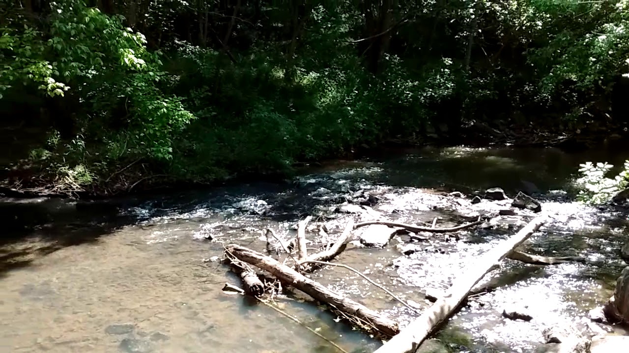 Little Rapids of East Fork Deep River YouTube