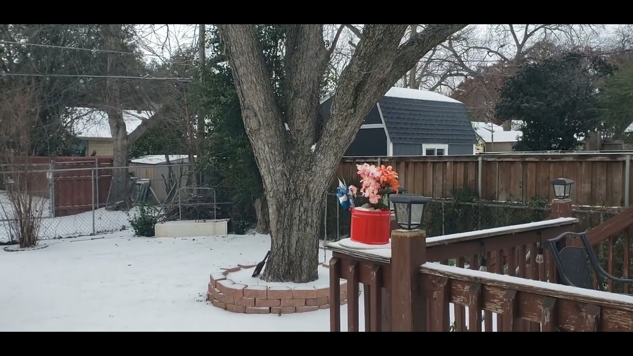 India con mucho llelo