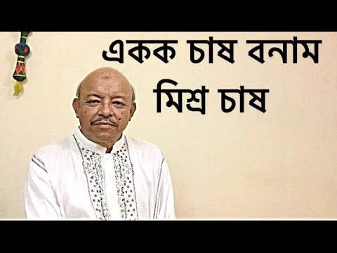 ভিডিও: কার্প কি বিদ্রূপ করে - দাদু আফানসির রেসিপি