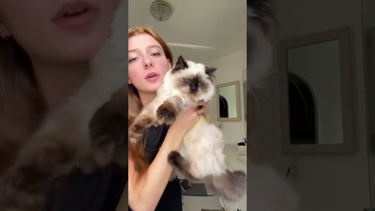 Getting miso in all my videos  