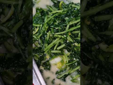 불티나게 맛있다  사골육수가 들어간 #열무김치 거기다가 비법소스들까지 공개 쉿 비밀맛집이 공개됩니다 #동신식육식당 주소:옥암동1051번지 #점심특선 구독좋아요는 서로큰힘됩니다10