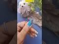 simple nail art designs at home for small nails#nailart #viralshorts