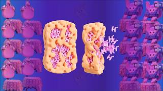Master pH Buffers Forever with analogies - How pH buffers work - Biochemistry of Buffers Ph Buffers An Overview