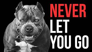 Why You Should Be Terrified of Pitbulls