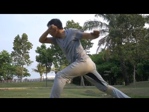 Download Cara Latihan Gerakan Dasar Capoeira Untuk Pemula