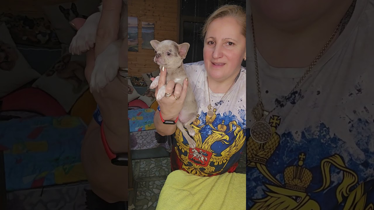 Эрми Ювелирови СВОБОДЕН 