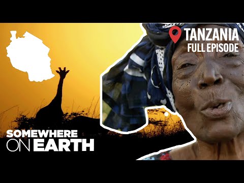An Hour in Tanzania | Visiting Zanzibar, Tarangire National Park & Mount Kilimanjaro | Documentary documentary thumbnail
