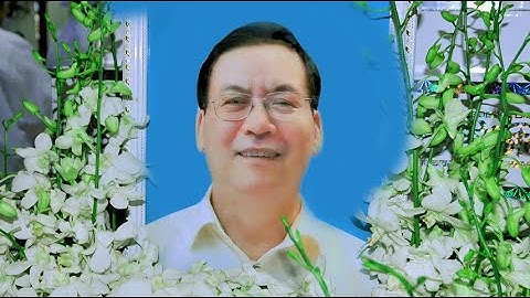 LỄ TANG ÔNG ĐAMINH BÙI ĐỨC TUY - HƯỞNG THỌ 69 TUỔI PHẦN 2