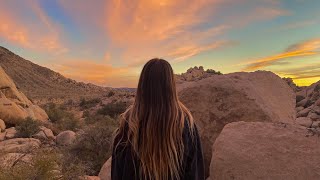 Follow me to Joshua Tree