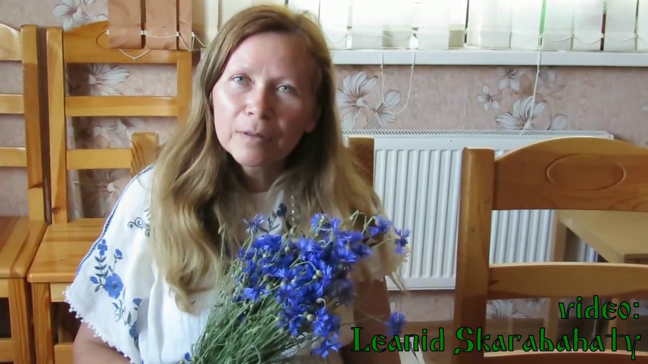 Лада или влада