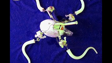 Dynamics of underwater legged locomotion: modeling and experiments on an octopus-inspired robot