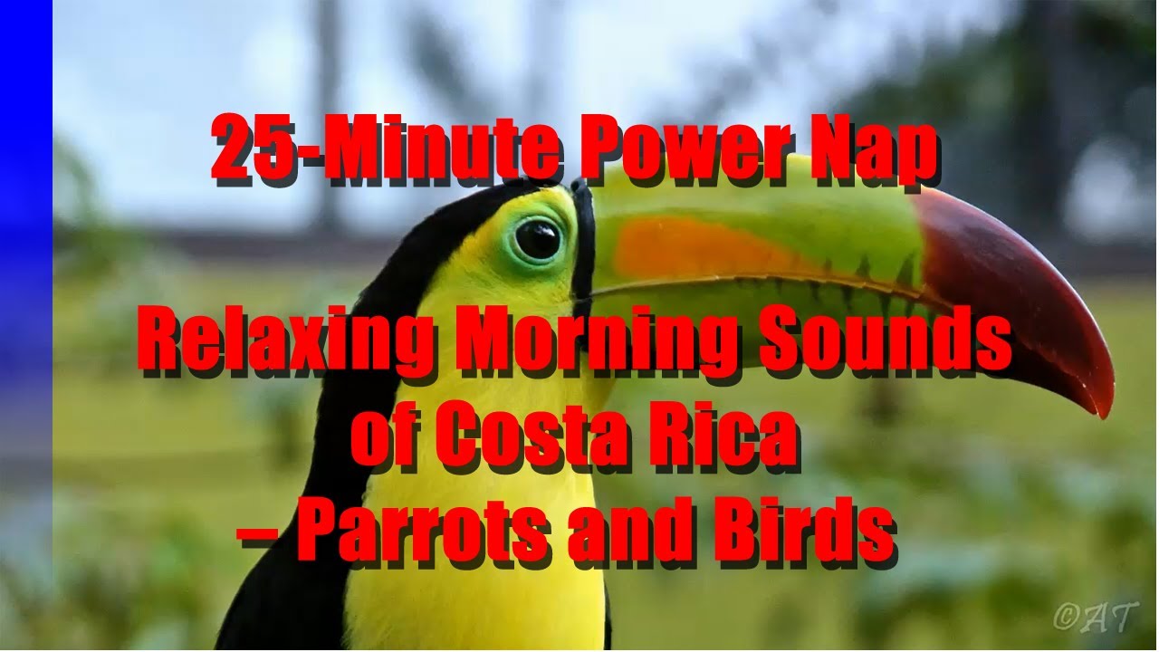 25-minute-power-nap-with-wake-alarm-morning-in-costa-rica-with