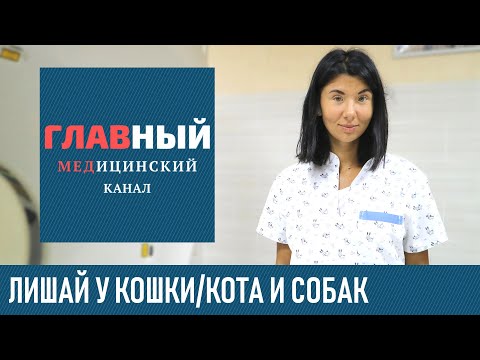 Как выглядит лишай у кошки/кота и собак. Что делать если лишай у кота/кошки/собаки