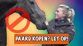 Waar moet je op letten je een paard PaardenpraatTV - YouTube