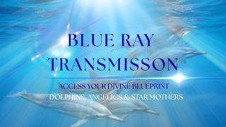 Blue Ray Light & Cosmic Dolphins : Awaken Your Divine Blueprint
