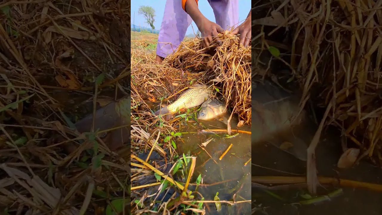 Awesome fishing under grass. 
