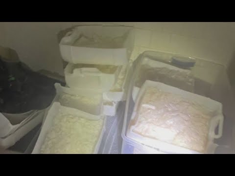 Two men arrested for meth lab bust in Houston - YouTube
