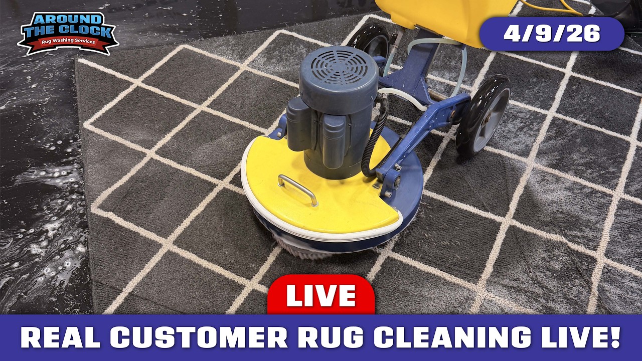 Real Rug Wipe LIVE Rug Cleaning! #cleanwithme #rugwashing - YouTube