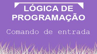 Aula de Lógica de Programação 003 - Comando de entrada