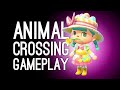 Animal Crossing New Horizons Gameplay: Visiting Ellen's Island!